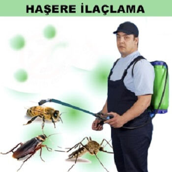 Yedisu Böcek İlaçlama